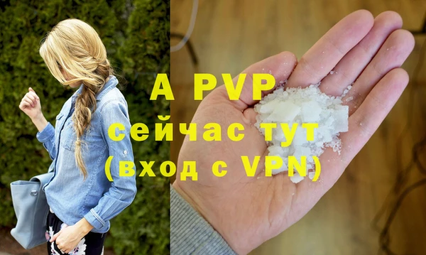 дурь Богданович