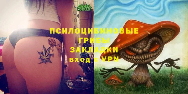 дурь Богданович