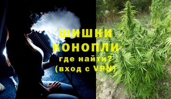 дурь Богданович
