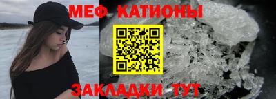 мдпв Кингисепп