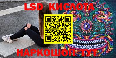 мдпв Кингисепп