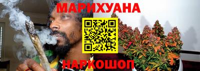 мдпв Кингисепп