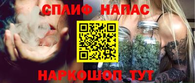 мдпв Кингисепп