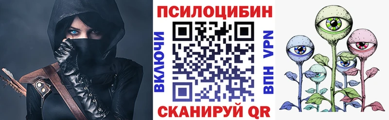 Галлюциногенные грибы Psilocybe  Кстово 