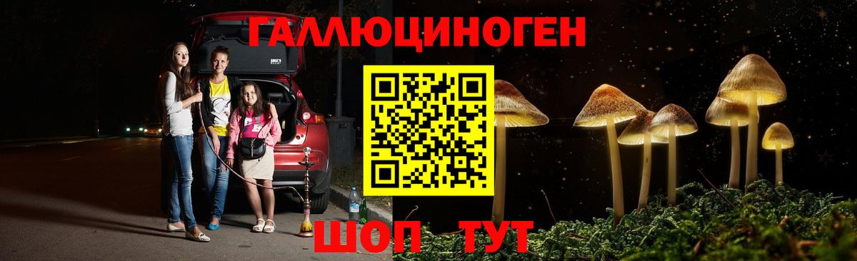 Псилоцибиновые грибы Cubensis Кстово