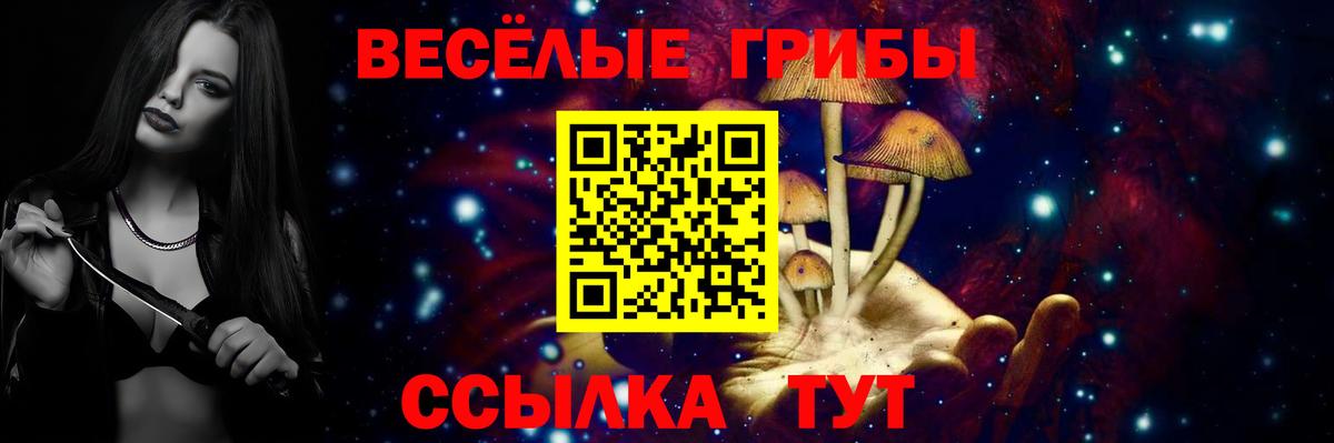 Галлюциногенные грибы мухоморы  Псилоцибиновые грибы мухоморы  где купить наркотик  Вход с VPN  Кстово 